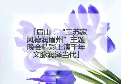 眉山：“三苏家风德润眉州”主题晚会精彩上演千年文脉润泽当代
