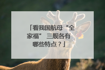 看我国航母“全家福” 三舰各有哪些特点？