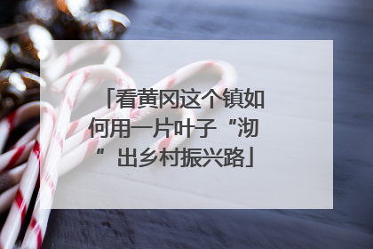 看黄冈这个镇如何用一片叶子“沏”出乡村振兴路