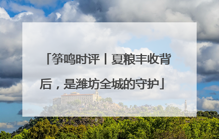 筝鸣时评丨夏粮丰收背后，是潍坊全城的守护