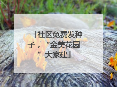 社区免费发种子，“金美花园”大家建