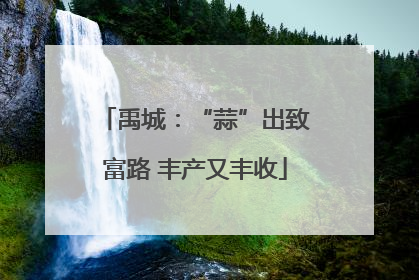 禹城：“蒜”出致富路 丰产又丰收