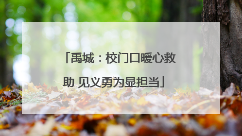 禹城：校门口暖心救助 见义勇为显担当