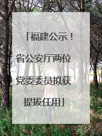福建公示！省公安厅两位党委委员拟获提拔任用