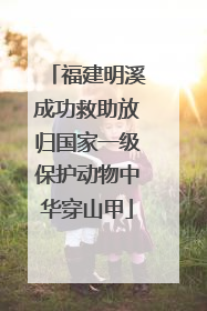 福建明溪成功救助放归国家一级保护动物中华穿山甲
