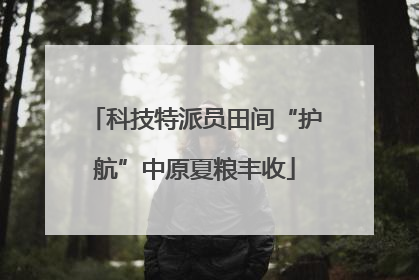 科技特派员田间“护航”中原夏粮丰收