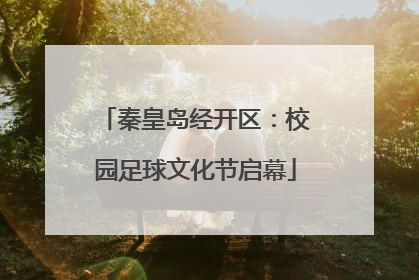 秦皇岛经开区：校园足球文化节启幕