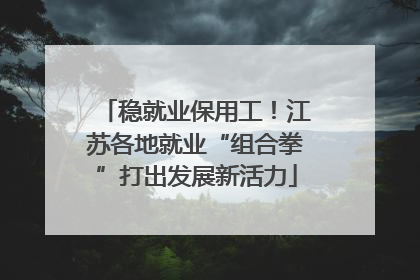 稳就业保用工！江苏各地就业“组合拳”打出发展新活力