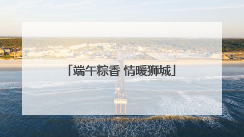 端午粽香 情暖狮城