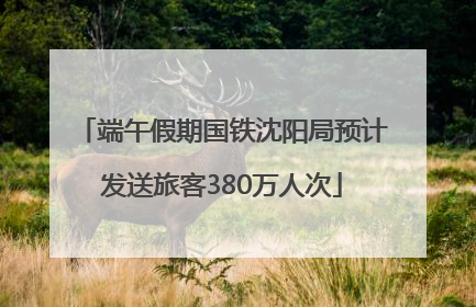 端午假期国铁沈阳局预计发送旅客380万人次
