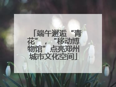 端午邂逅“青花”，“移动博物馆”点亮郑州城市文化空间