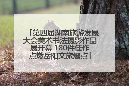 第四届湖南旅游发展大会美术书法摄影作品展开幕 180件佳作点燃岳阳文旅爆点