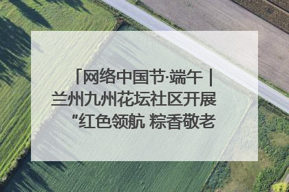 网络中国节·端午｜兰州九州花坛社区开展“红色领航 粽香敬老”端午主题活动