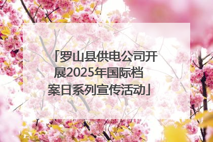 罗山县供电公司开展2025年国际档案日系列宣传活动