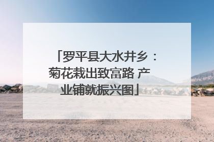 罗平县大水井乡：菊花栽出致富路 产业铺就振兴图