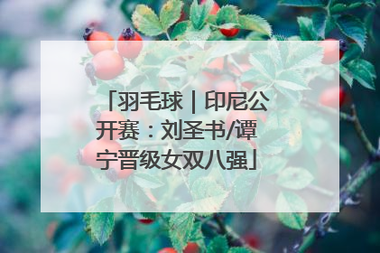 羽毛球｜印尼公开赛：刘圣书/谭宁晋级女双八强