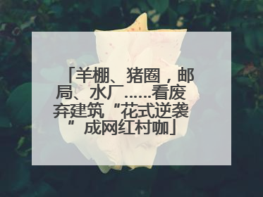 羊棚、猪圈，邮局、水厂……看废弃建筑“花式逆袭”成网红村咖