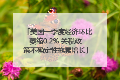 美国一季度经济环比萎缩0.2% 关税政策不确定性拖累增长