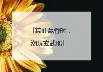 粽叶飘香时，潮玩玄武地