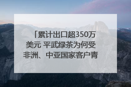 累计出口超350万美元 平武绿茶为何受非洲、中亚国家客户青睐？｜发布会观察