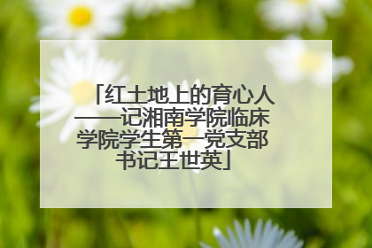 红土地上的育心人——记湘南学院临床学院学生第一党支部书记王世英