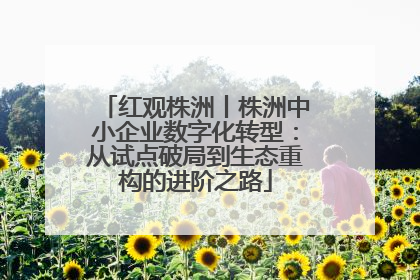 红观株洲丨株洲中小企业数字化转型：从试点破局到生态重构的进阶之路