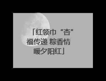 红领巾“杏”福传递 粽香情暖夕阳红