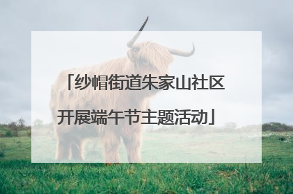 纱帽街道朱家山社区开展端午节主题活动