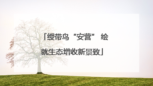 绶带鸟“安营” 绘就生态增收新景致