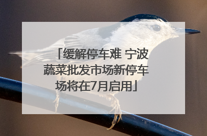 缓解停车难 宁波蔬菜批发市场新停车场将在7月启用