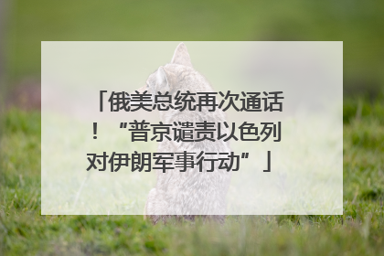俄美总统再次通话！“普京谴责以色列对伊朗军事行动”
