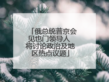 俄总统普京会见也门领导人 将讨论政治及地区热点议题
