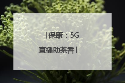 保康：5G直播助茶香