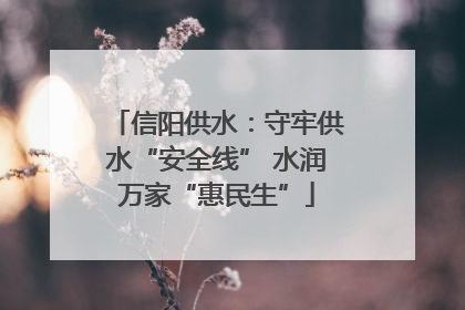 信阳供水：守牢供水“安全线” 水润万家“惠民生”