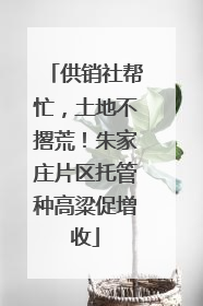 供销社帮忙，土地不撂荒！朱家庄片区托管种高粱促增收