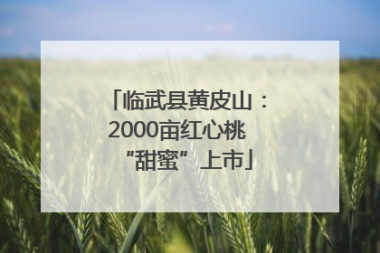 临武县黄皮山：2000亩红心桃“甜蜜”上市