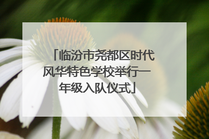 临汾市尧都区时代风华特色学校举行一年级入队仪式