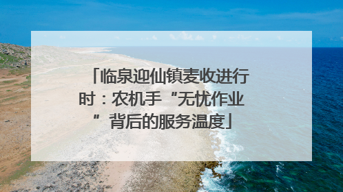 临泉迎仙镇麦收进行时：农机手“无忧作业”背后的服务温度