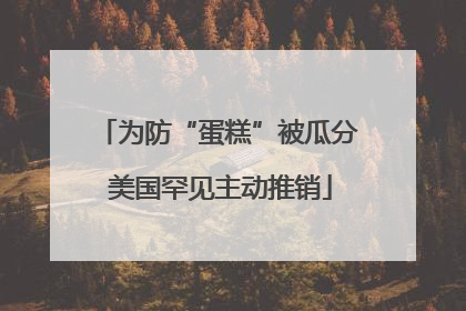 为防“蛋糕”被瓜分 美国罕见主动推销