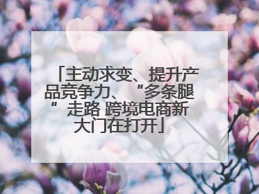 主动求变、提升产品竞争力、“多条腿”走路 跨境电商新大门在打开