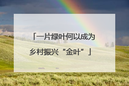 一片绿叶何以成为乡村振兴“金叶”