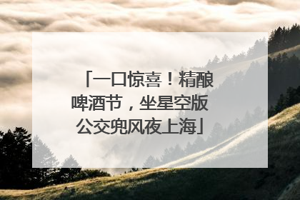 一口惊喜！精酿啤酒节，坐星空版公交兜风夜上海