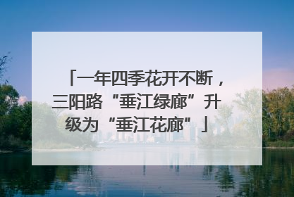 一年四季花开不断，三阳路“垂江绿廊”升级为“垂江花廊”