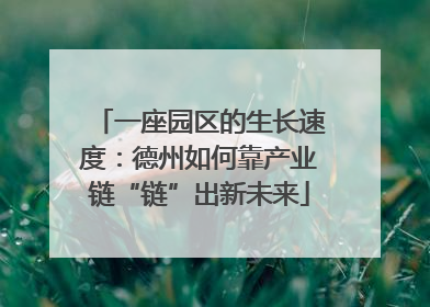 一座园区的生长速度：德州如何靠产业链“链”出新未来