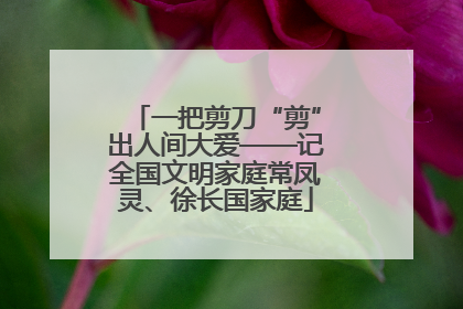 一把剪刀“剪”出人间大爱——记全国文明家庭常凤灵、徐长国家庭