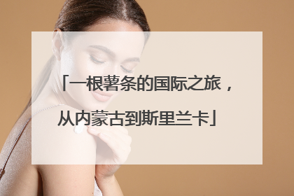 一根薯条的国际之旅，从内蒙古到斯里兰卡