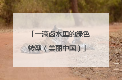 一滴卤水里的绿色转型（美丽中国）