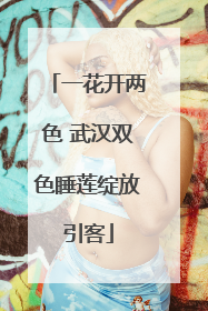 一花开两色 武汉双色睡莲绽放引客