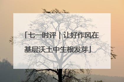 七一时评｜让好作风在基层沃土中生根发芽