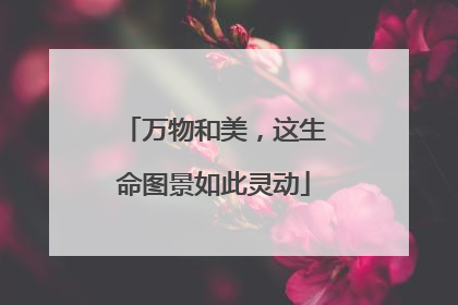 万物和美，这生命图景如此灵动